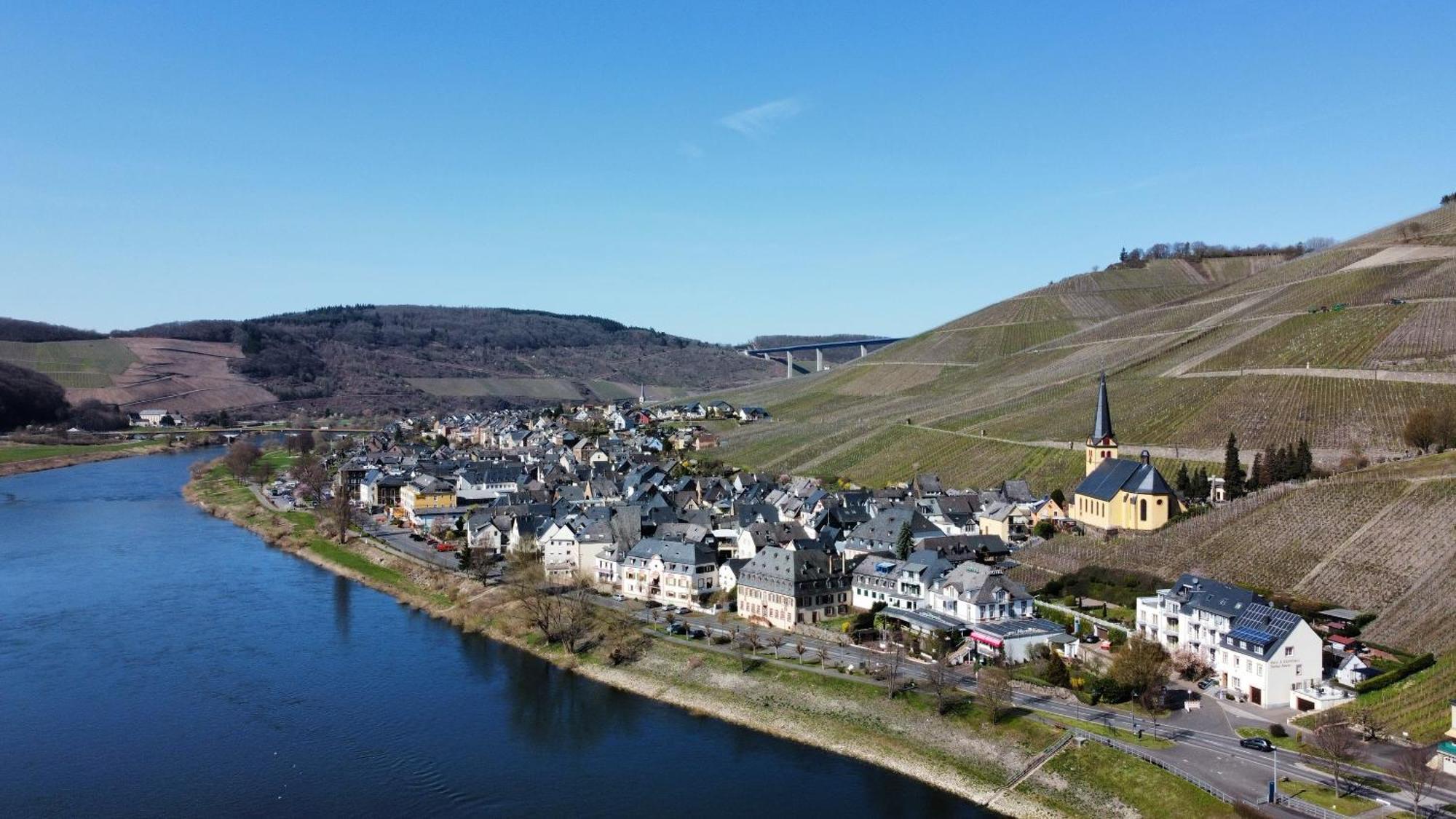 Vegan Hotel Und Restaurants Nicolay 1881 Zeltingen-Rachtig Exteriör bild