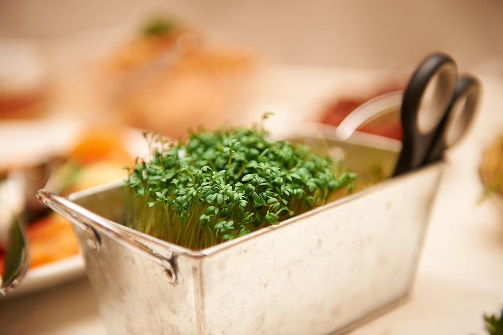 Vegan Hotel Und Restaurants Nicolay 1881 Zeltingen-Rachtig Exteriör bild